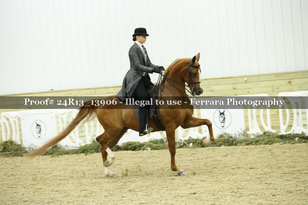 Proof 24R13_13906
