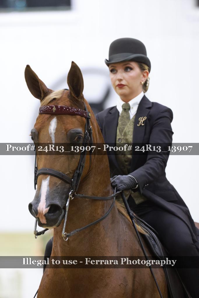 Proof 24R13_13907