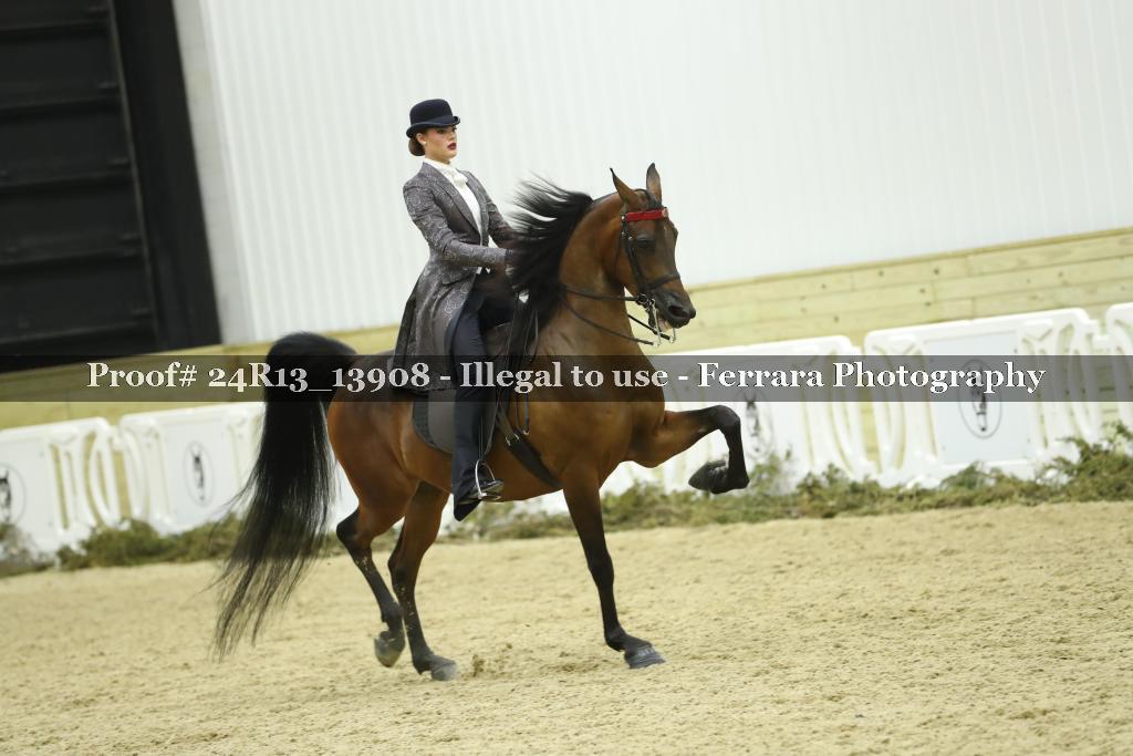 Proof 24R13_13908