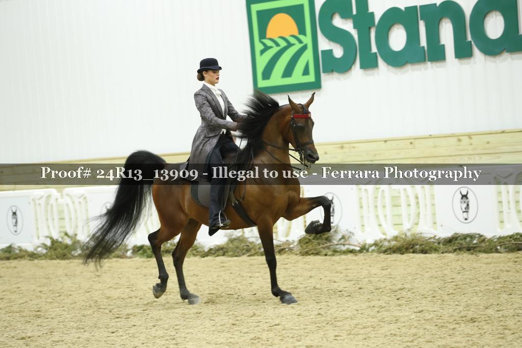 Proof 24R13_13909