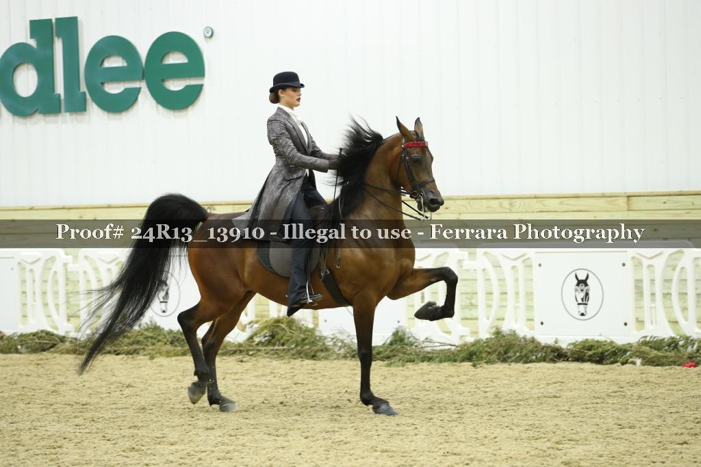 Proof 24R13_13910