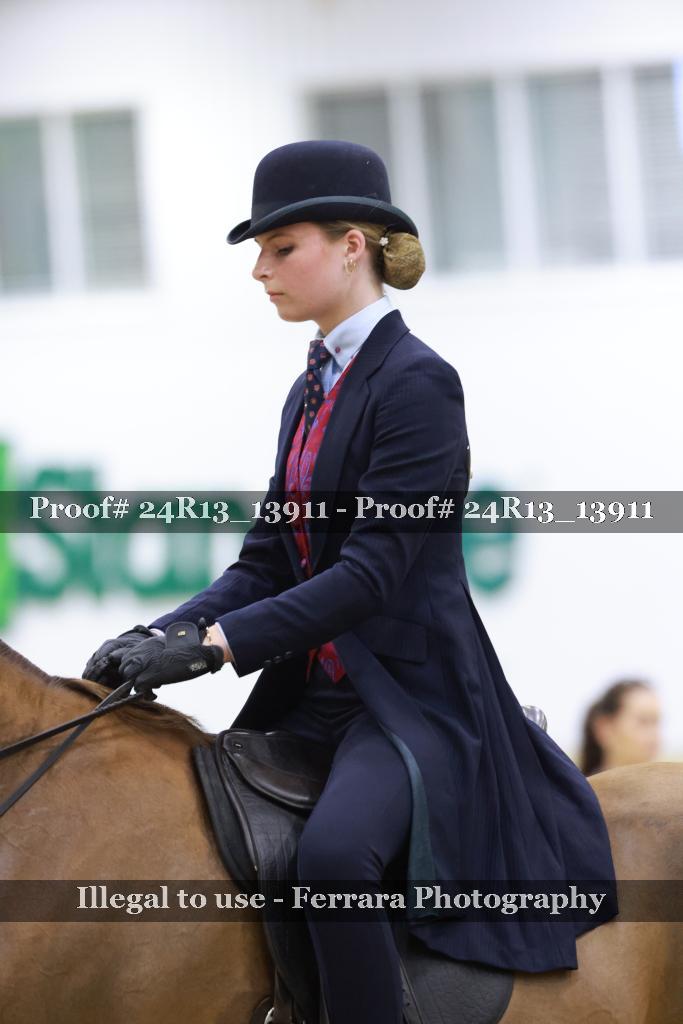 Proof 24R13_13911