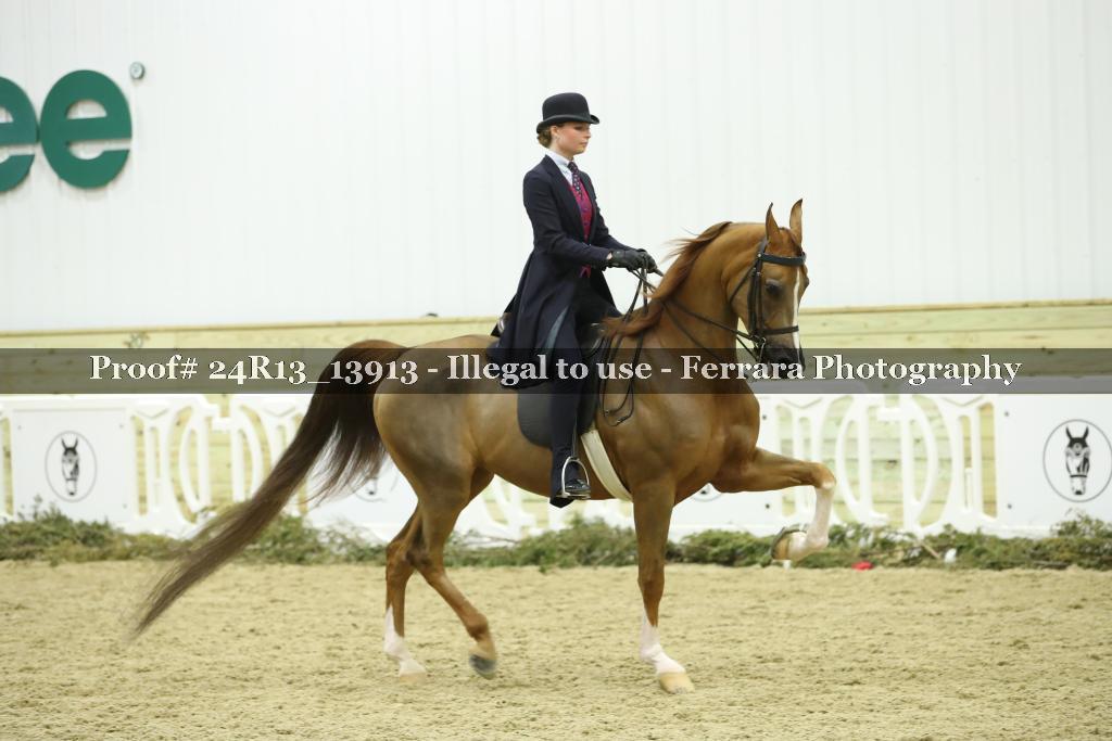 Proof 24R13_13913