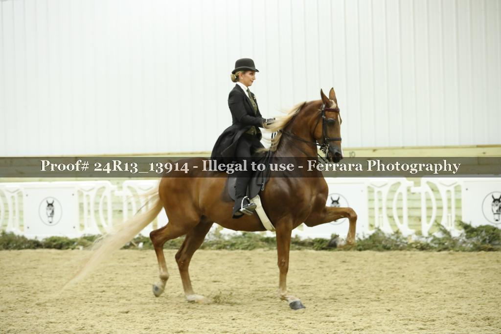 Proof 24R13_13914