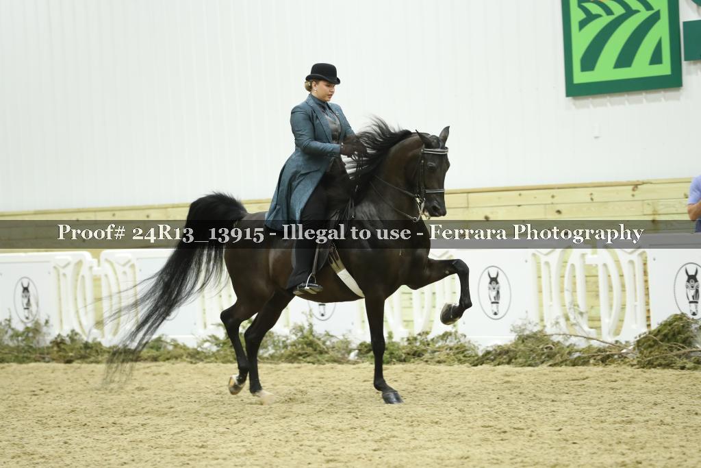 Proof 24R13_13915