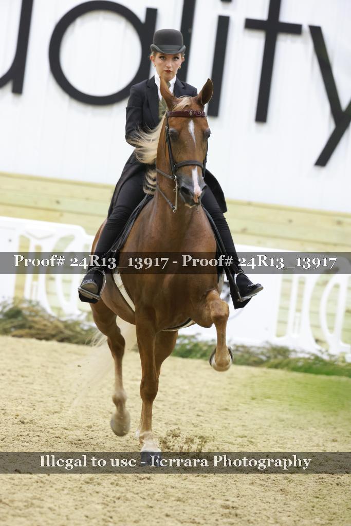 Proof 24R13_13917