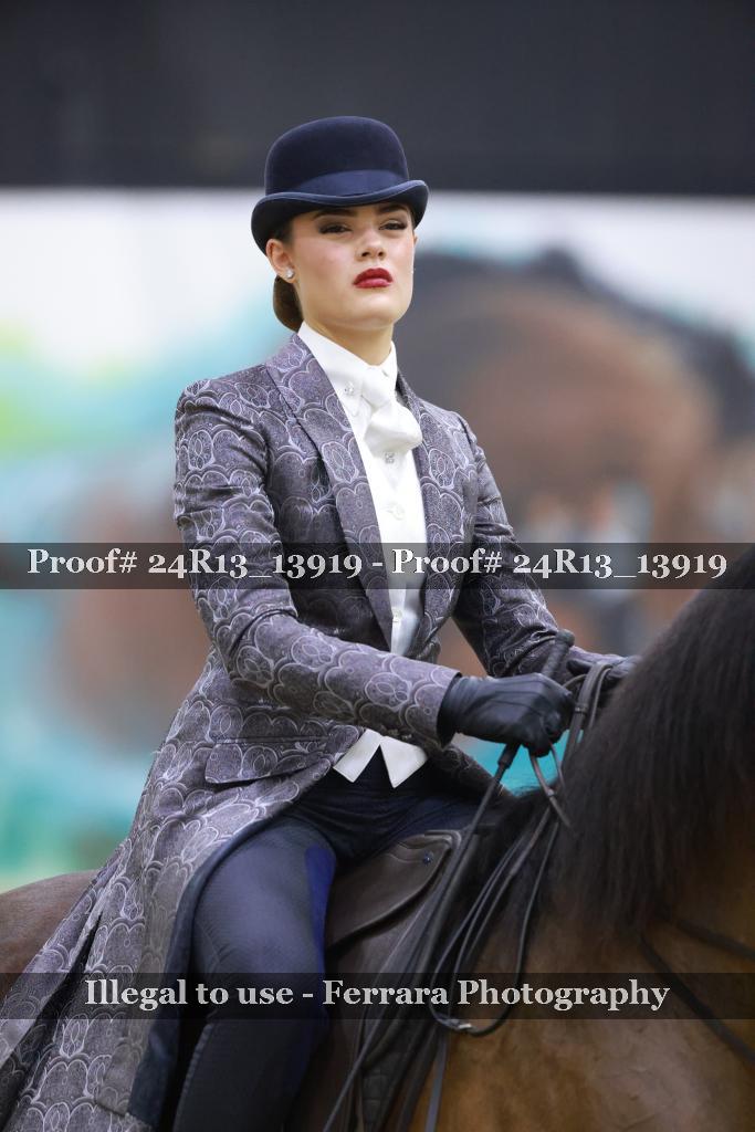 Proof 24R13_13919