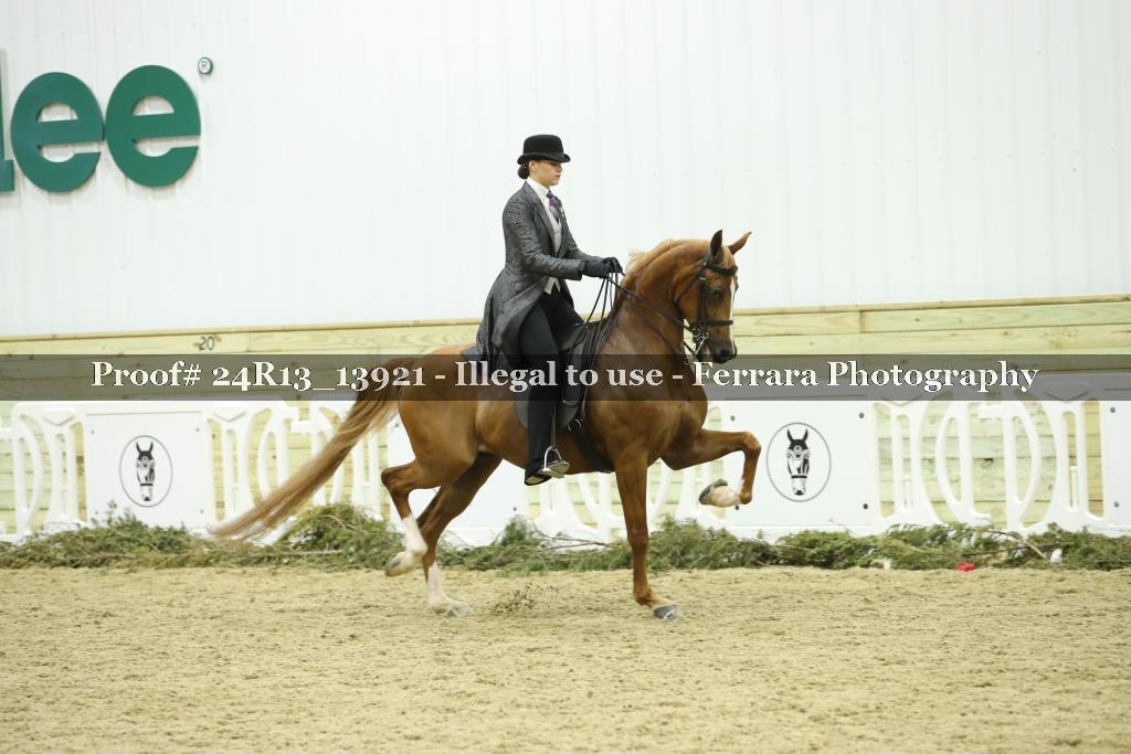 Proof 24R13_13921