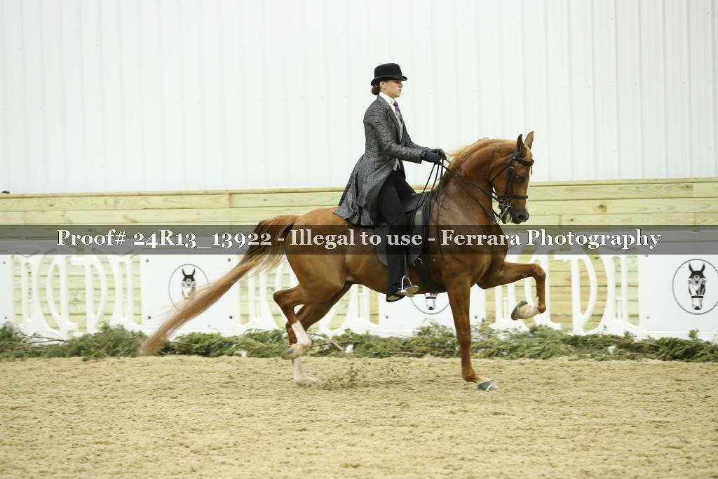 Proof 24R13_13922