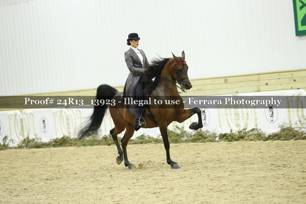 Proof 24R13_13923