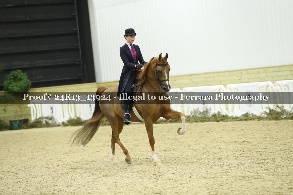 Proof 24R13_13924
