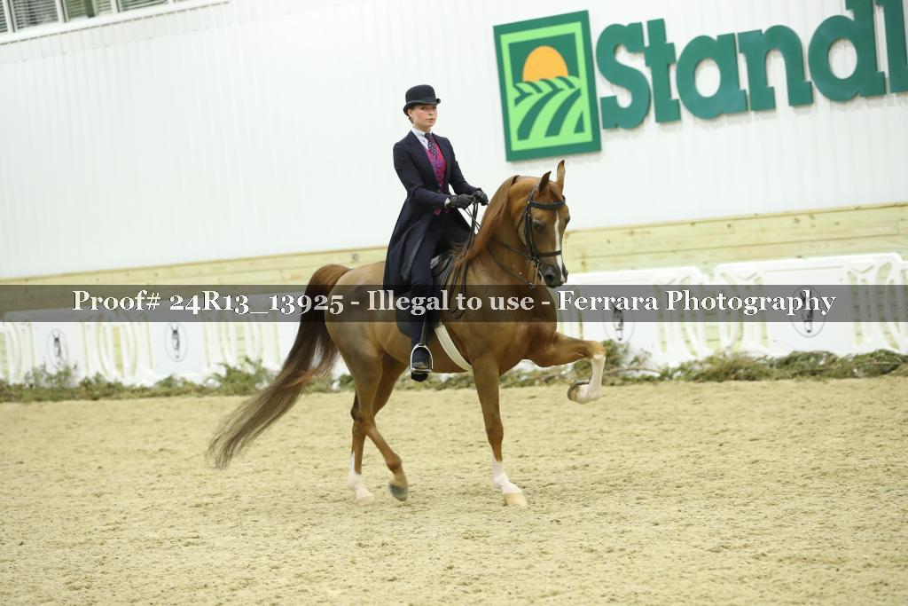 Proof 24R13_13925