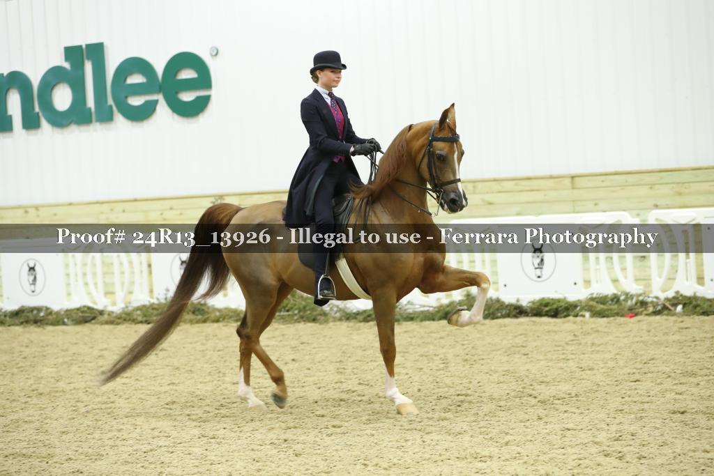 Proof 24R13_13926