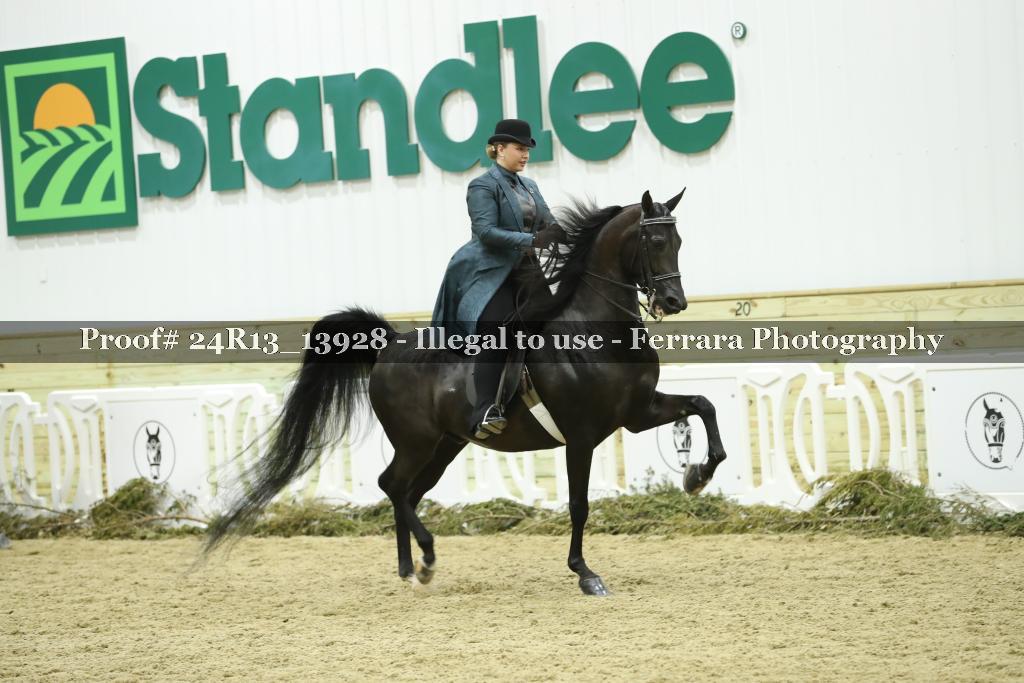 Proof 24R13_13928