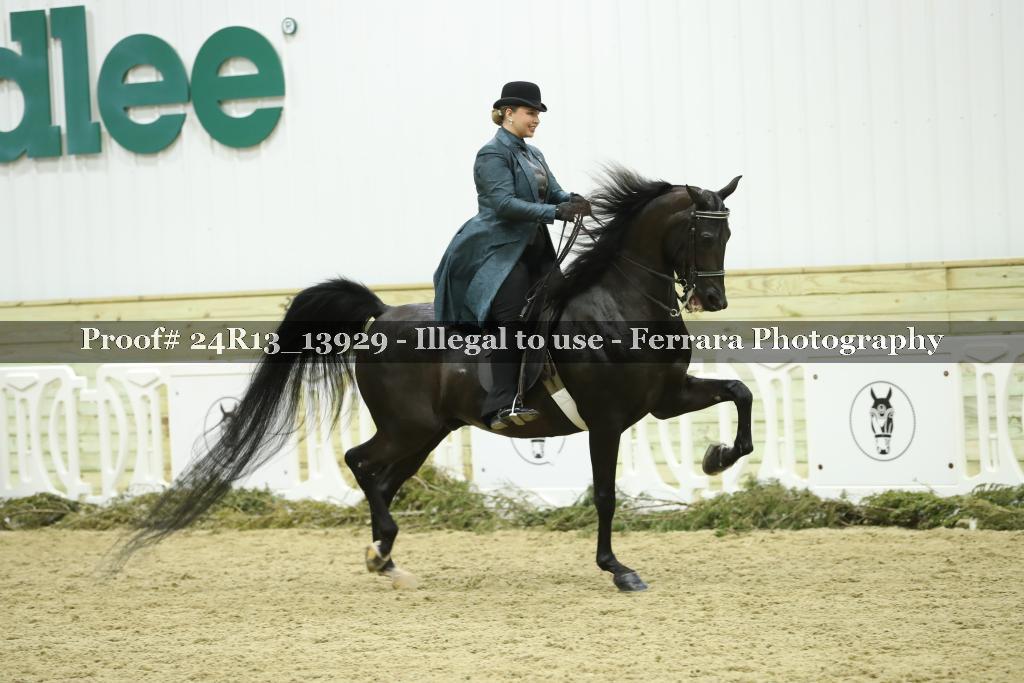 Proof 24R13_13929