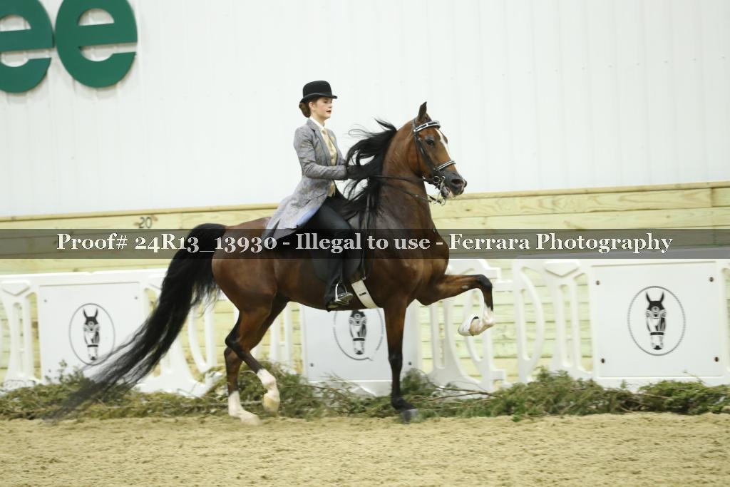 Proof 24R13_13930