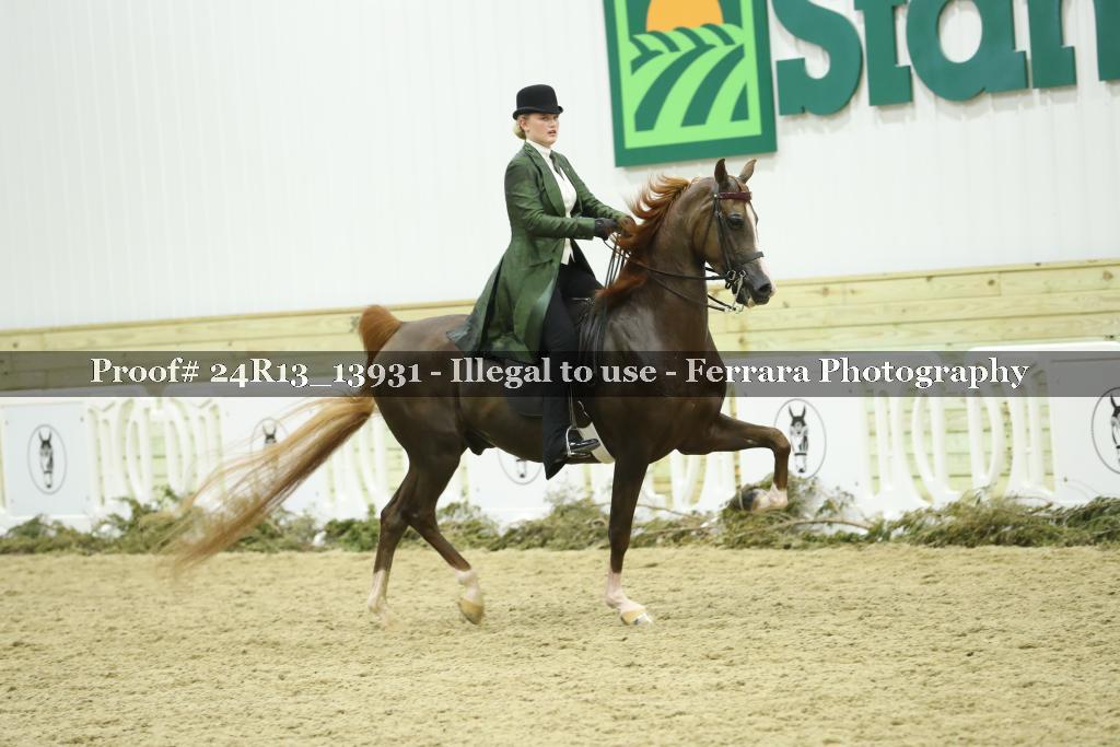 Proof 24R13_13931