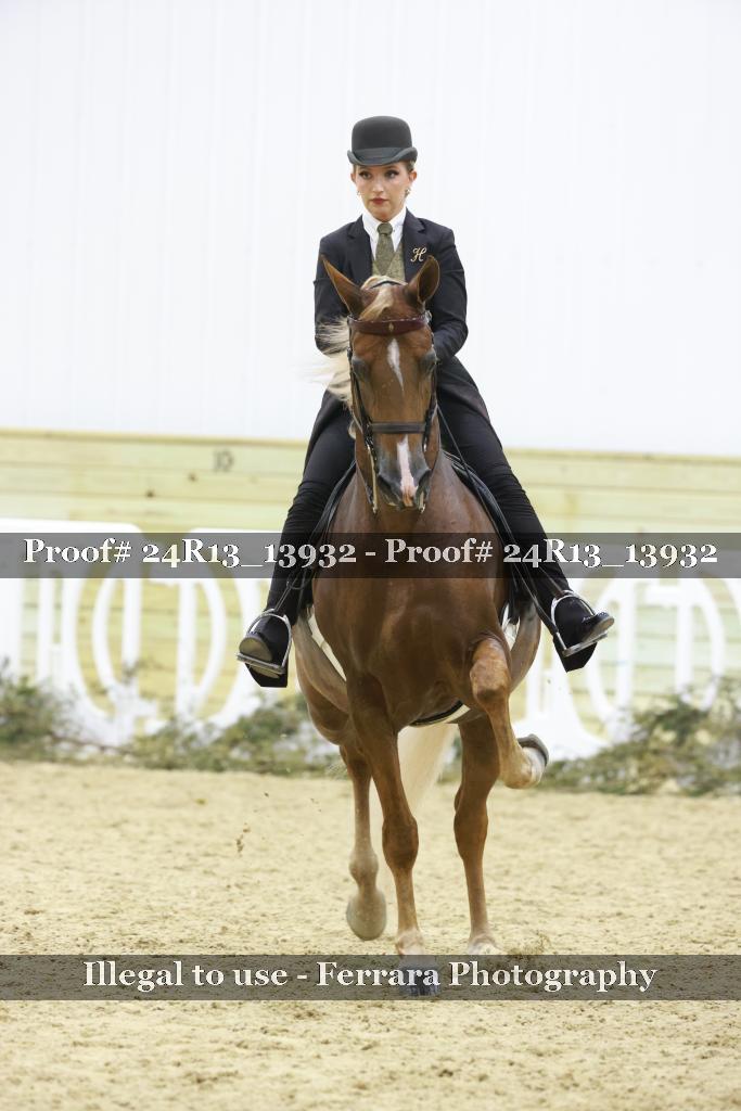 Proof 24R13_13932