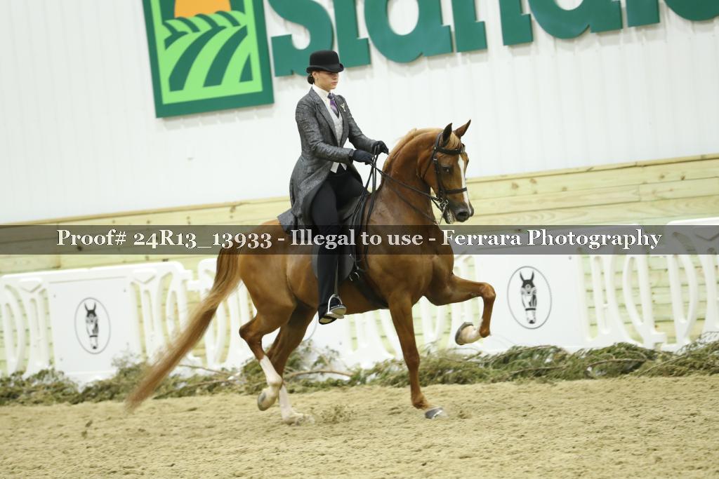 Proof 24R13_13933