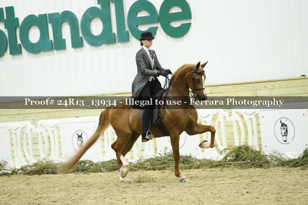 Proof 24R13_13934
