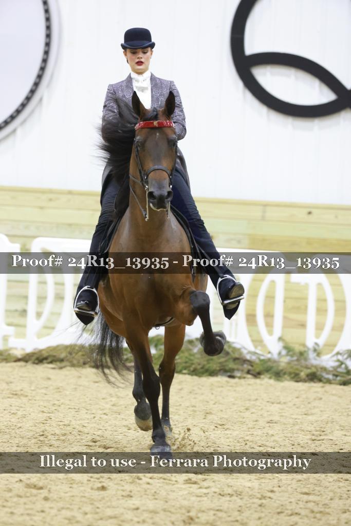 Proof 24R13_13935