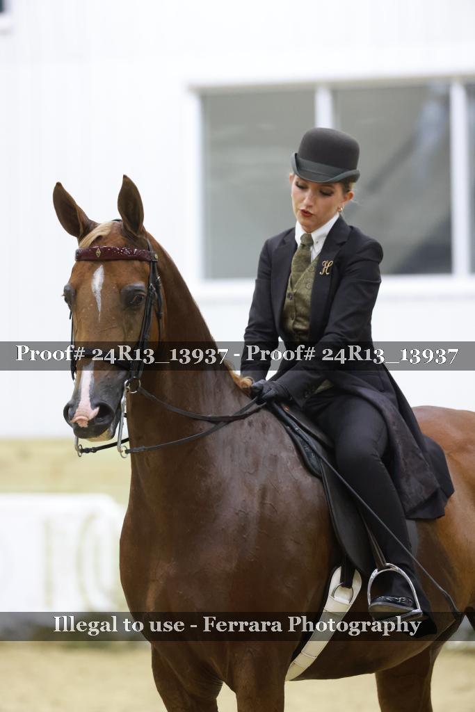 Proof 24R13_13937