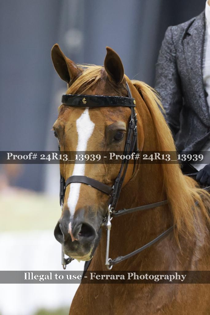 Proof 24R13_13939