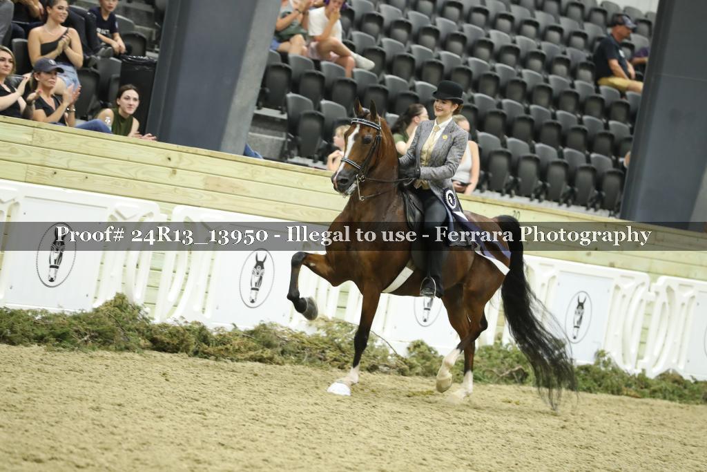 Proof 24R13_13950