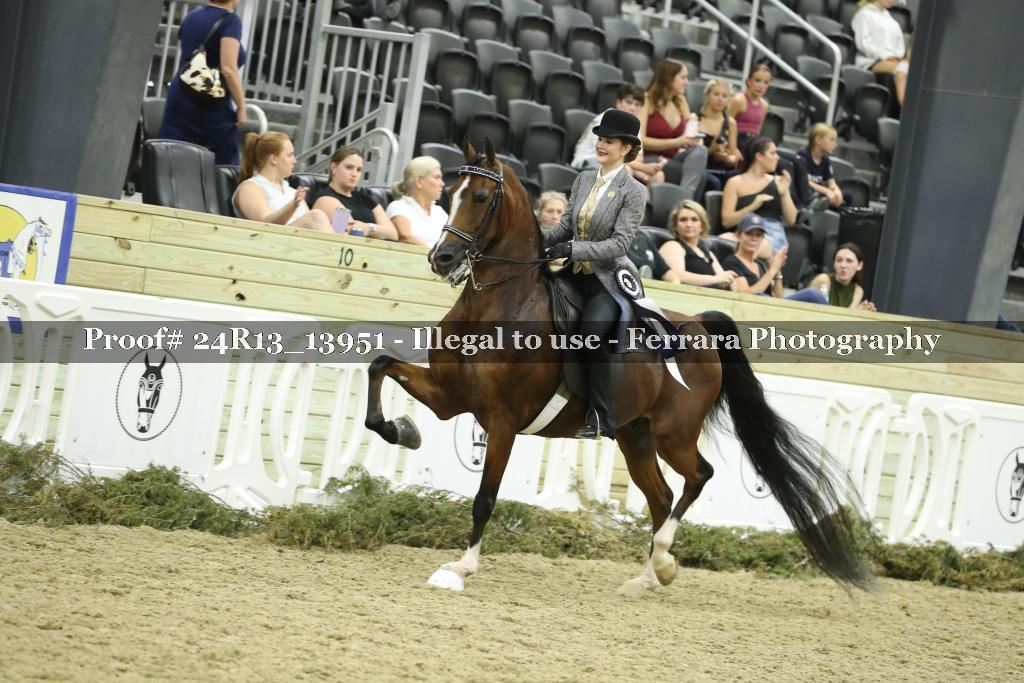 Proof 24R13_13951