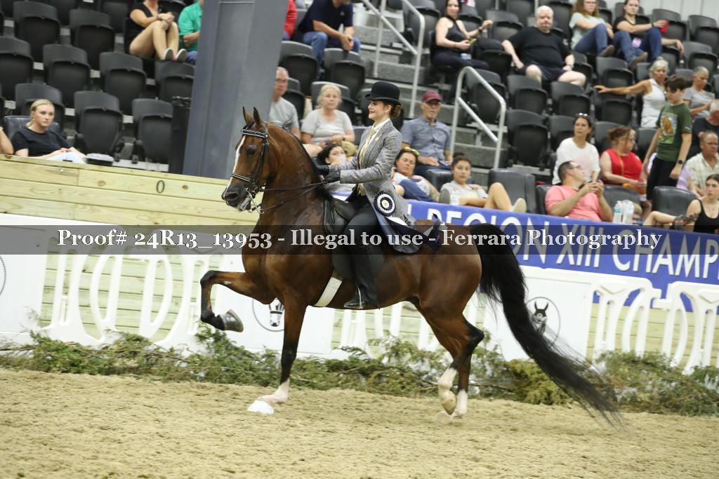 Proof 24R13_13953