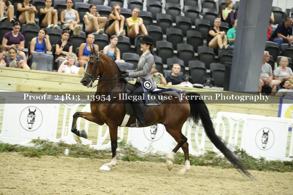 Proof 24R13_13954