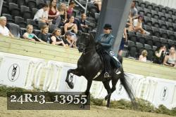 24R13_13955 proof