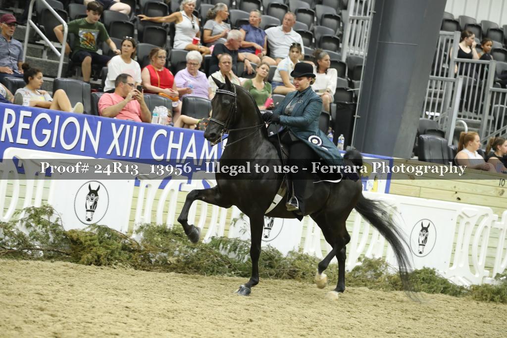 Proof 24R13_13956