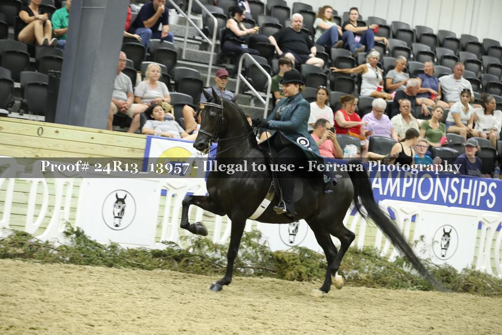 Proof 24R13_13957