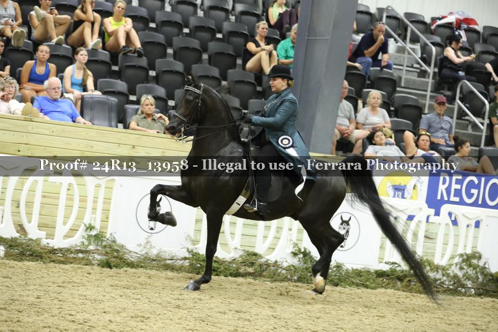Proof 24R13_13958