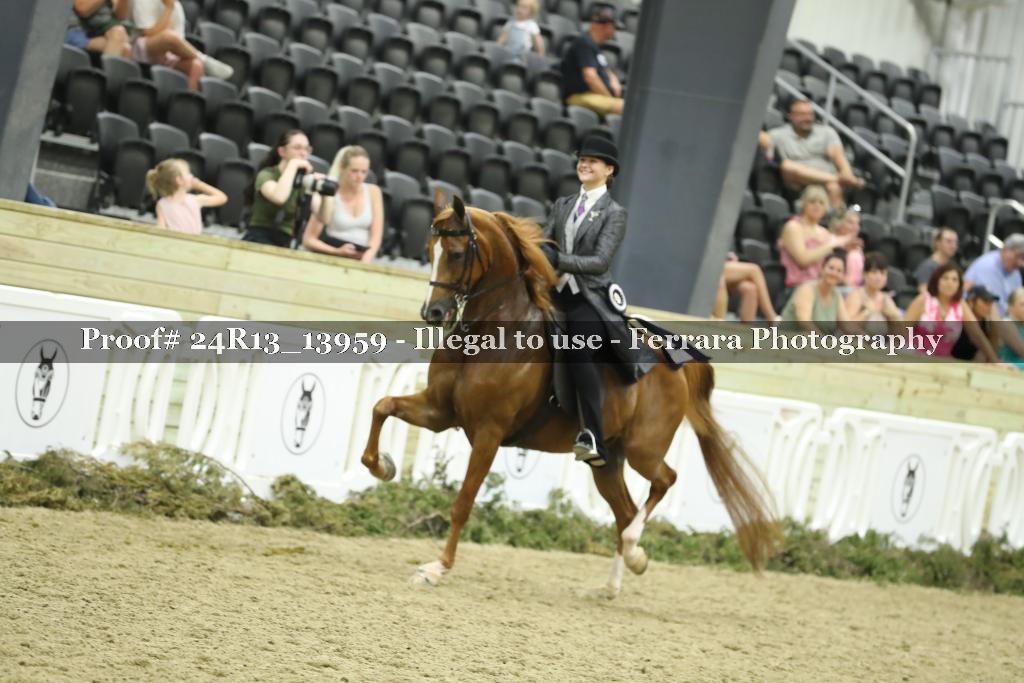 Proof 24R13_13959