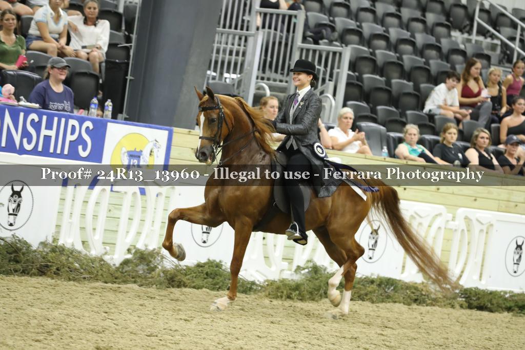 Proof 24R13_13960
