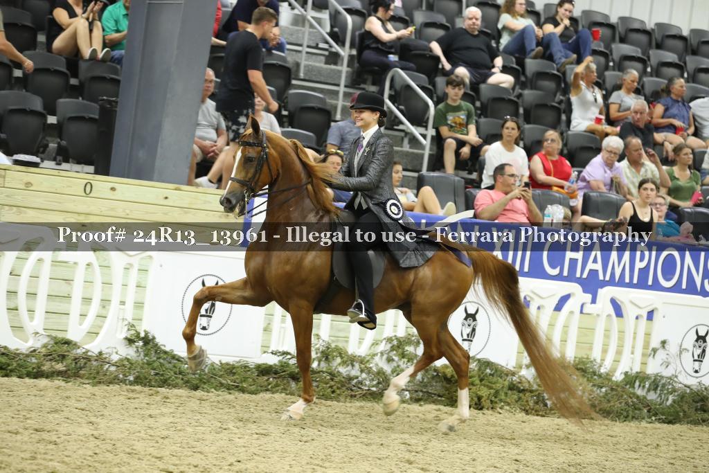 Proof 24R13_13961