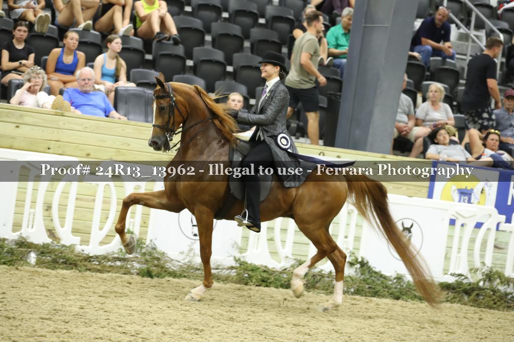 Proof 24R13_13962