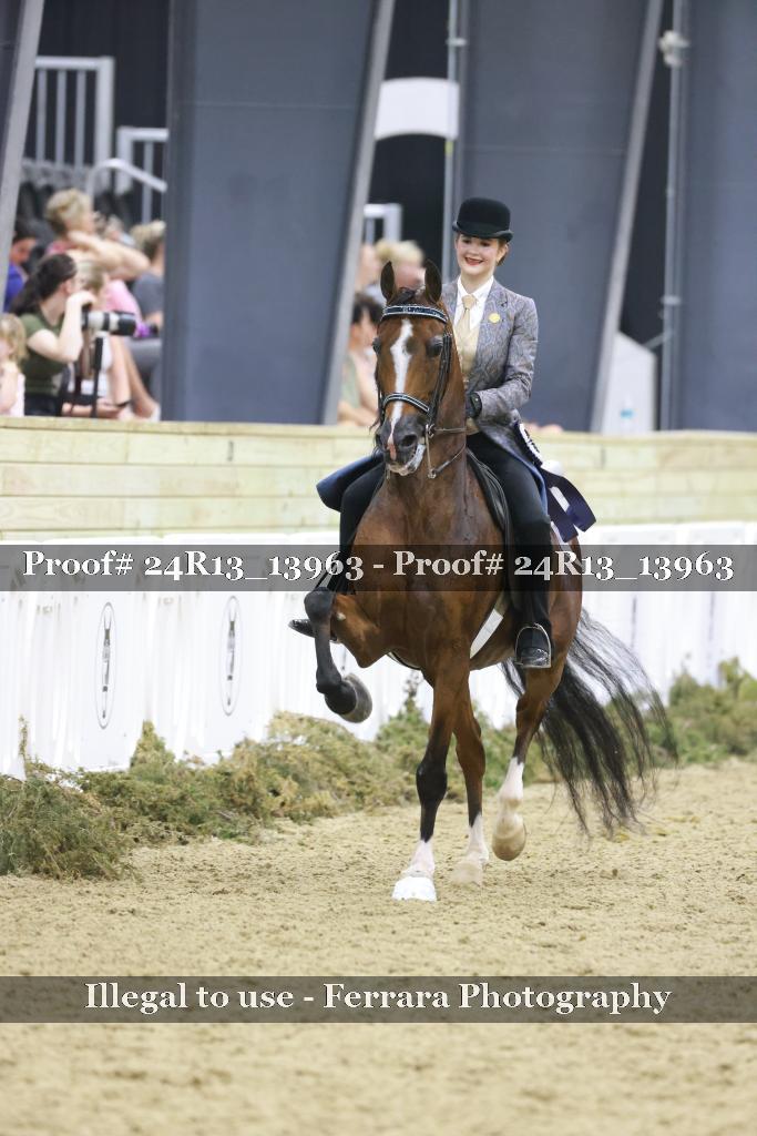 Proof 24R13_13963