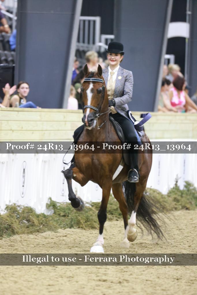 Proof 24R13_13964