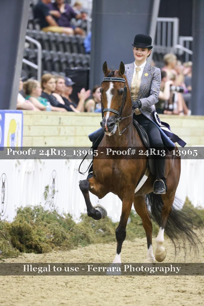 Proof 24R13_13965