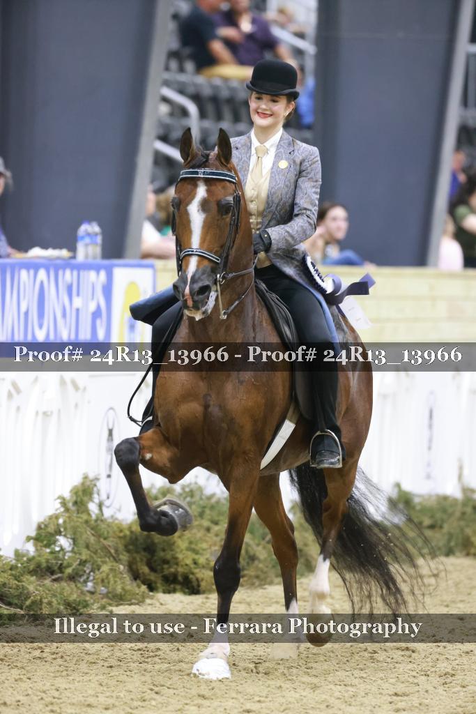Proof 24R13_13966