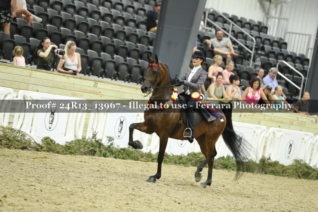 Proof 24R13_13967