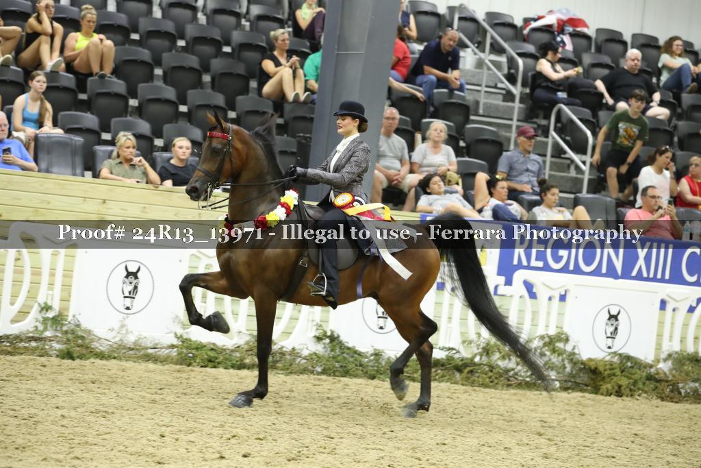 Proof 24R13_13971