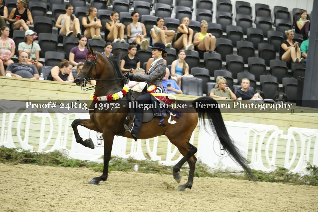 Proof 24R13_13972