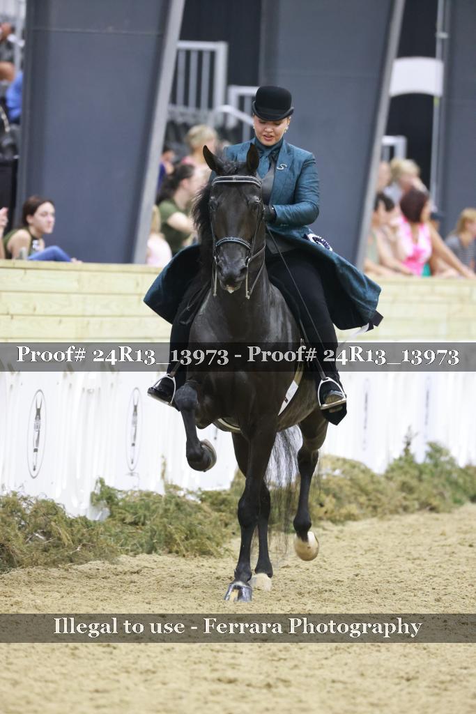 Proof 24R13_13973
