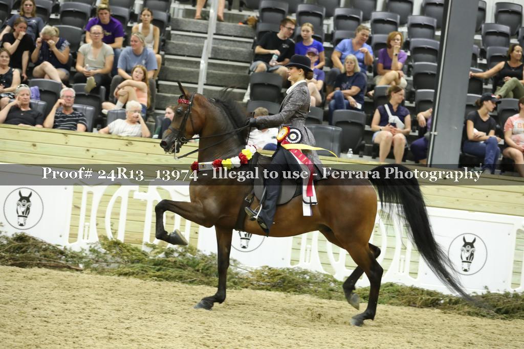 Proof 24R13_13974