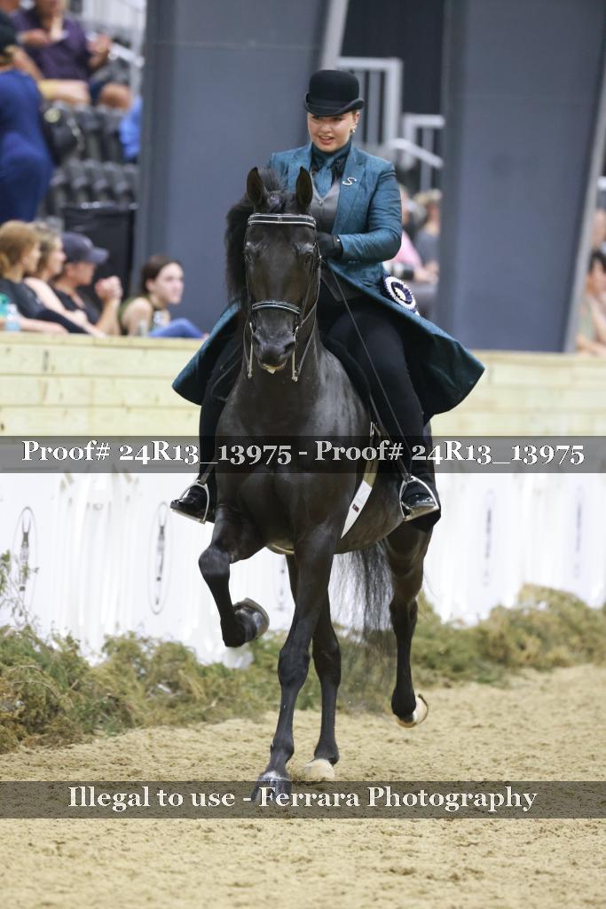 Proof 24R13_13975