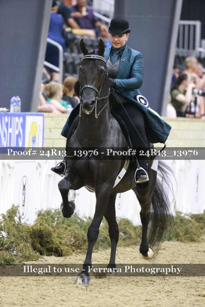 Proof 24R13_13976